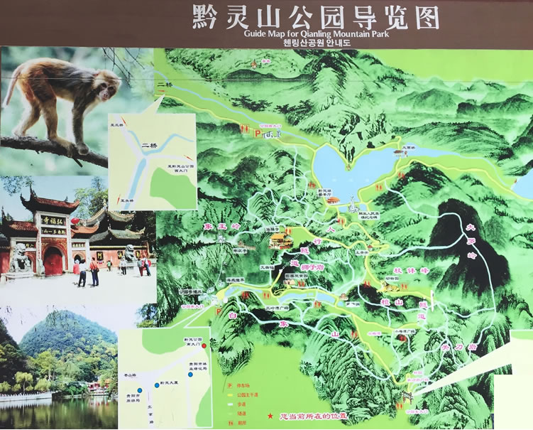 ǭ�`ɽ���@���ΈD