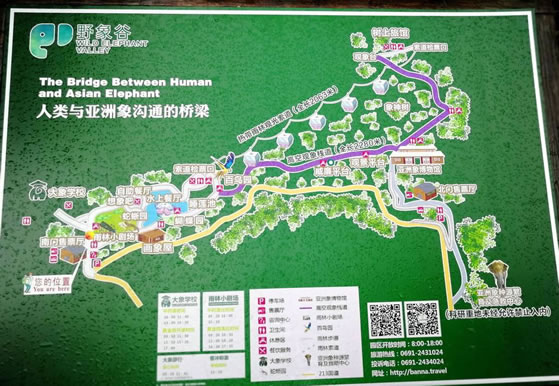 Ұ��Ȍ��[�D